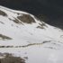 Schafe am Weg vom Taschljöchl nach LazaunPecore scendendo dal giogo TascaSheep in val di Lazaun valley