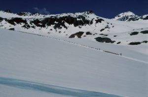 Schafe am Niederjochferner unterhalb des TisenjochsPecore attaversando la Vedretta del Giogo Basso Sheep crossing the glacier and in the background the discovery site of the Iceman