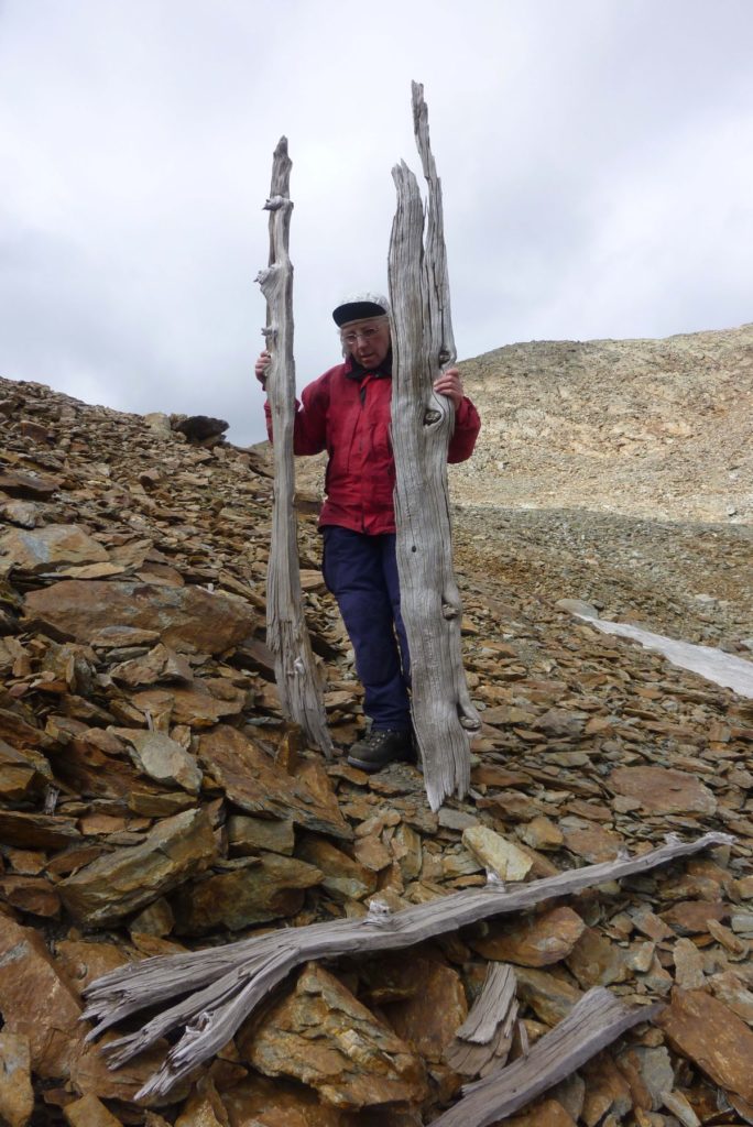 Entdeckerin Christine Iglspacher am Langgrubjoch<br/>Christine Igelspacher, che ha scoperto il sito archeologico sul giogo Fossalunga<br/>Discoverer Christine Iglspacher with prehistoric planks