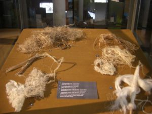 Ausstellung Bast Binsen Brennessel von Anne Reichert im archeoParcMostra sul uso del libro, delle ortiche e giuncacee presso larcheoParcExhibition on working organic fibres like as bast in prehistoric times