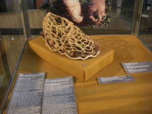 Ausstellung Bast Binsen Brennessel von Anne Reichert im archeoParcMostra sul uso del libro, delle ortiche e giuncacee presso larcheoParcExhibition on working organic fibres like as bast in prehistoric times