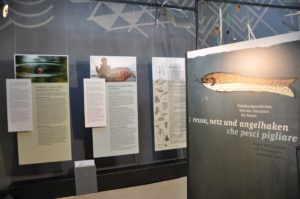 Ausstellung zur Kulturgeschichte der FischereiMostra sulla storia della pescaExhibition on the history of fishing