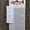 Ausstellung zur Kulturgeschichte der FischereiMostra sulla storia della pescaExhibition on the history of fishing