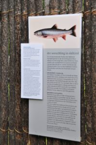 Ausstellung zur Kulturgeschichte der FischereiMostra sulla storia della pescaExhibition on the history of fishing