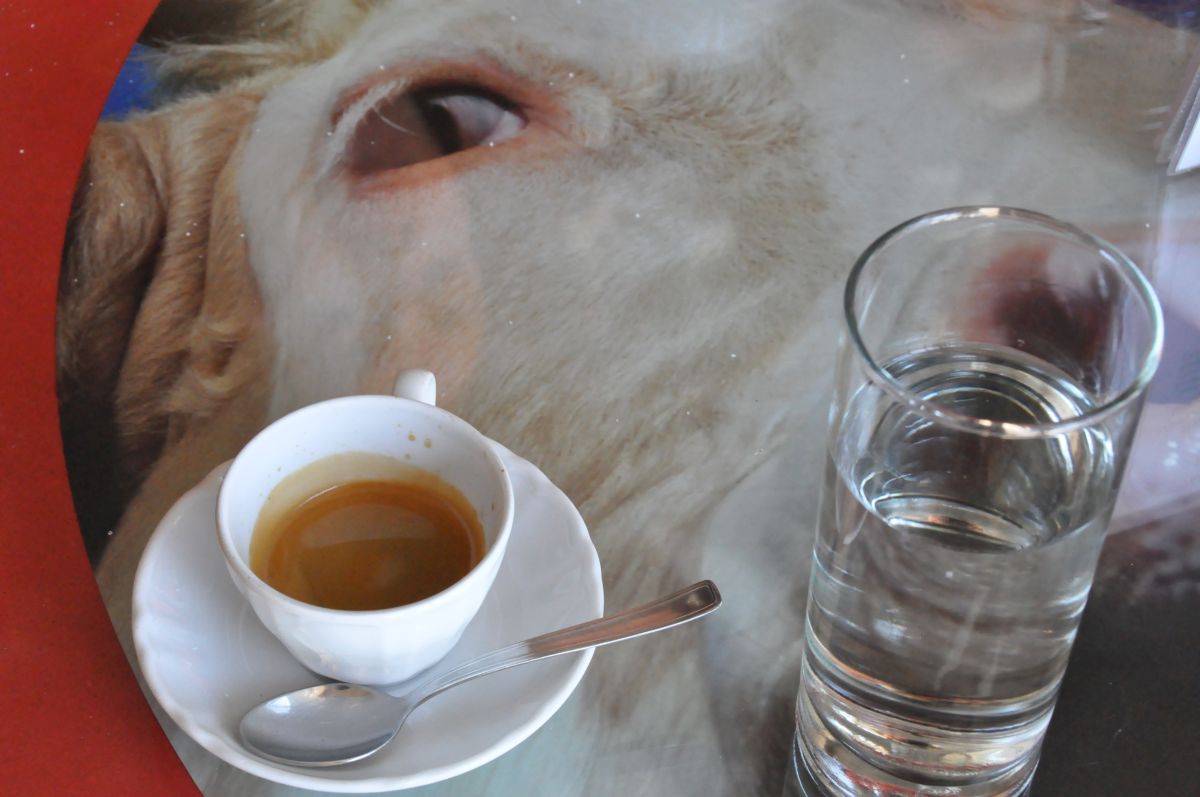 Fotoausstellung von Gianni Bodini in der archeoParc-CafeteriaMostra fotografica di Gianni BodiniPhotography exhibition by Gianni Bodini