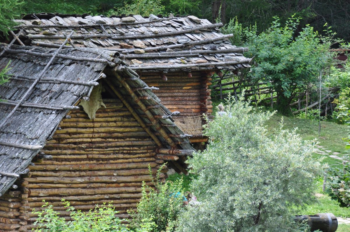 Kollegentag im archeoParc: Freier Eintritt für alle, die in der Gästebetreuung arbeiten