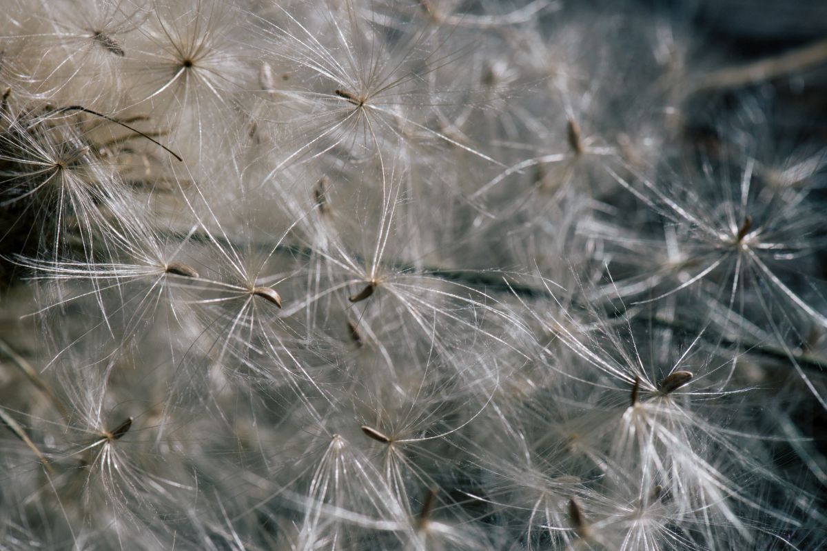 Fotoausstellung »Cimelia« von Daniela Brugger in der archeoParc-CafeteriaMostra »Cimelia« di Daniela Brugger presso la caffetteria dellarcheoParc Photography exhibition »Cimelia« from Daniela Brugger at the archeoParc cafeteria