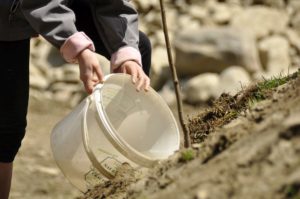Bäume pflanzen beim Tag der MuseenPiantare alberi al giorno dei museiPlanting trees during the day of museumsMay 2016