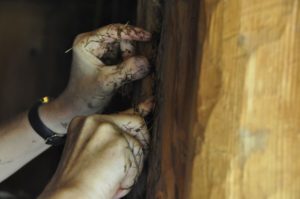 Die archeoParc-Bauwoche 2016 Una settimana allinsegna delle capanne di Ötzi 2016House Building Week 2016July 2016