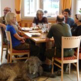 Die archeoParc-Bauwoche 2016<br /> Una settimana allinsegna delle capanne di Ötzi 2016<br />House Building Week 2016<br /><br />July 2016