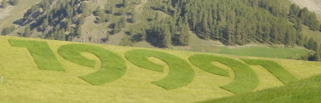 Das Funddatum von Ötzi in einer gemähten Wiese in Vernagt<br/>La data del ritrovamento di Ötzi in un prato falciato a Vernago<br/> Mown meadow showing the date of the discovery of the Iceman 25 years ago <br/><br/>September 2016