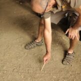 Eltern-Kind-Bogenbaukurs mit Franz Tapfer und Ernst Gamper im archeoParc-Freilichtbereich<br />Workshop sulla costruzione di archi in legno per bambini e genitori presso larea allaperto dellarcheoParc<br />Child and parent workshop on making bow and arrow <br /><br />September 2016