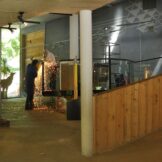 Umbau-und Erweiterungsarbeiten im Besucherzentrum und Freigelände<br />Lavori di rinnovo e di ampliamento nel centro visitatori e nellarea allaperto<br />Renewal and enlargement of the archeoParc visitors centre and open-air-area<br /><br />June 2017