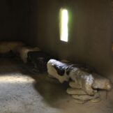 Flechtwerk Handwerk Kunstwerk. Die archeoParc-Bauwoche 2017<br />Tante belle cose Una settimana di lavoro insieme ad amici<br />Friends Working Week 2017<br /><br />July 2017