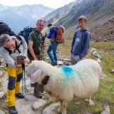 Ötzi Glacier Tour with Gela Allmann<br />August 2017