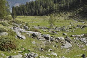 Gebäudereste der alten Penaudalm, die vermutlich ins 17./18. Jahrhundert datierenRovina della vecchia malga PenaudRemains of the old mountain pasture hut PenaudSchnals-Alte Penaudalm