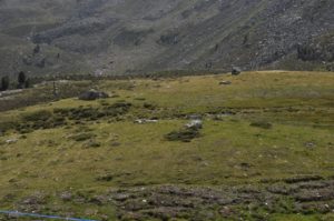 Drei urgeschichtliche Fundstellen nahe des verlandeten Moors bei der Penaudalm (2323m ü. M.) auf einen Blick. Auf der länglichen Kuppe in der hinteren Bildhälfte entdeckte das Team um Andreas Putzer den bislang ältesten datierten Fund aus dem Schnalstal, einen 10.200 Jahre alte FeuersteinsplitterTre siti archeologici dalta quota vicino alla malga della valle di PinaltoThre archeological sites close to the alpine pasture hut Penaud8.200 BC-1.700 BCSchnals-Penaudalm