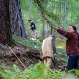 Europäische Meisterschaften im Prähistorischen Bogenschießen im Schnalstal<br />Campionati europei di tiro con larco preistorico nella Val Senales<br />European Championship for prehistoric archery in the Val Senales valley<br /><br />September 2017