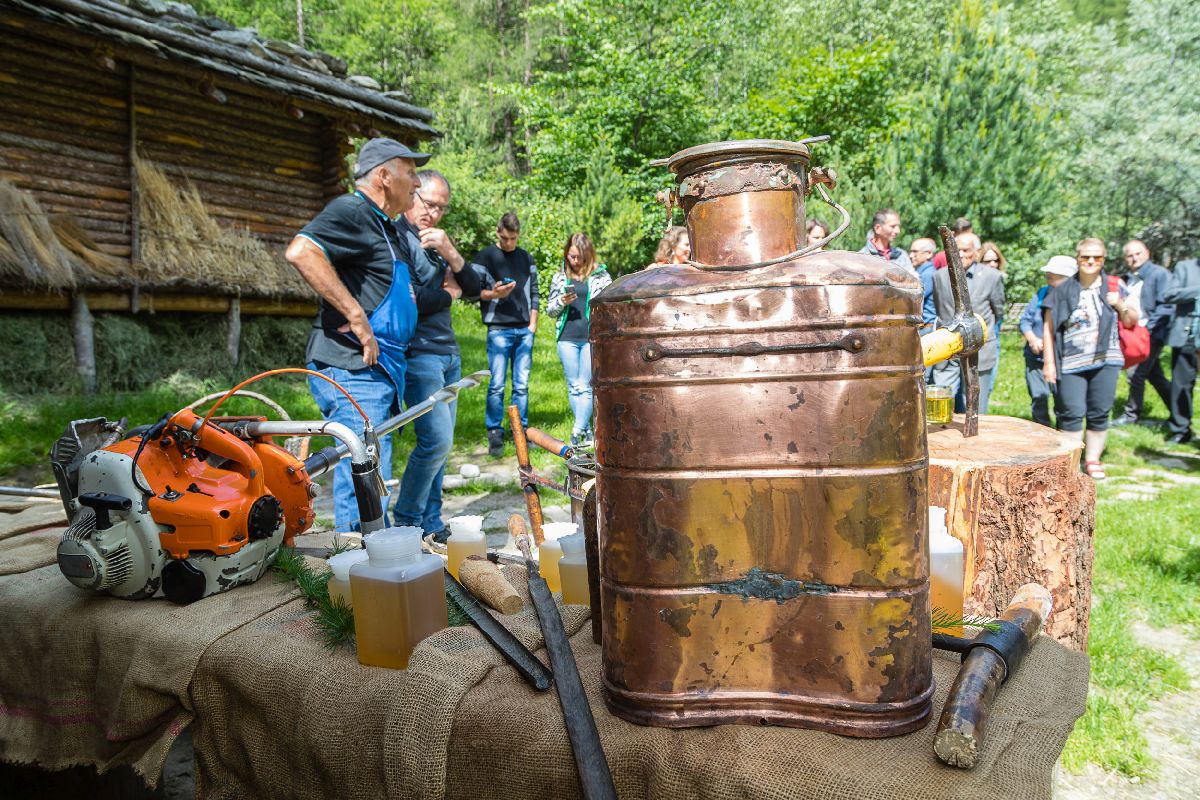 Eröffnung der Ausstellung Birkenteer und Lärchenterpentin. Die Gewinnung und Verarbeitung von Sekundärprodukten aus dem Wald früher und heute.Inaugurazione della mostra Pece e trementina. Luso dei prodotti secondari degli alberi dalla preistoria ad oggi.Exhibition on secondary products of the forest and on how humans used them since prehistoric timesarcheoParc Schnalstal24 June 2018