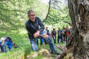 Eröffnung der Ausstellung Birkenteer und Lärchenterpentin. Die Gewinnung und Verarbeitung von Sekundärprodukten aus dem Wald früher und heute.Inaugurazione della mostra Pece e trementina. Luso dei prodotti secondari degli alberi dalla preistoria ad oggi.Exhibition on secondary products of the forest and on how humans used them since prehistoric timesarcheoParc Schnalstal24 June 2018