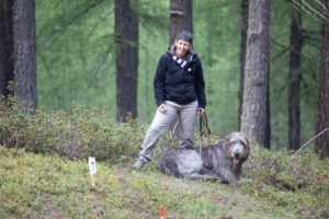 Europäische Meisterschaften im Prähistorischen Bogenschießen und Speerschleudern im archeoParc SchnalstalCampionati europei di tiro con larco preistorico e lancio con il propulsore allarcheoParc Val SenalesEuropean Championship for Prehistoric Weapons at archeoParc Val SenalesSeptember 2019