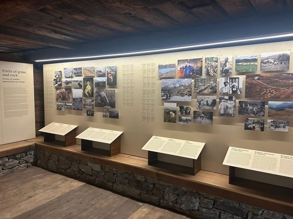 Blick in die Sonderausstellung „Wege aus Gras und Fels“<<br/>Mostra temporanea <br/>Temporary exhibition<br/><br/>June 2025