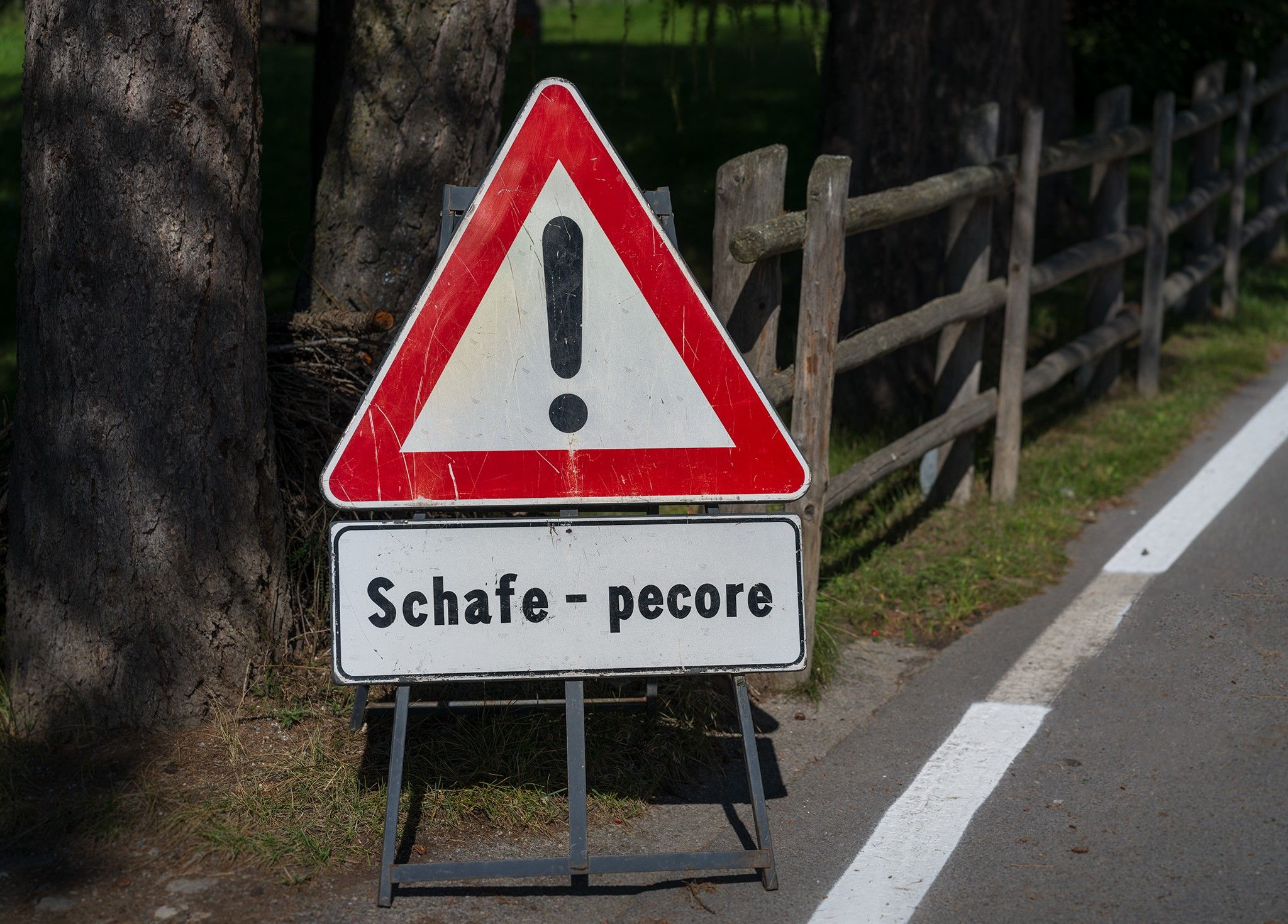 Veranstaltungen anlässlich der Bezirkskörung der Schafzüchter 2025