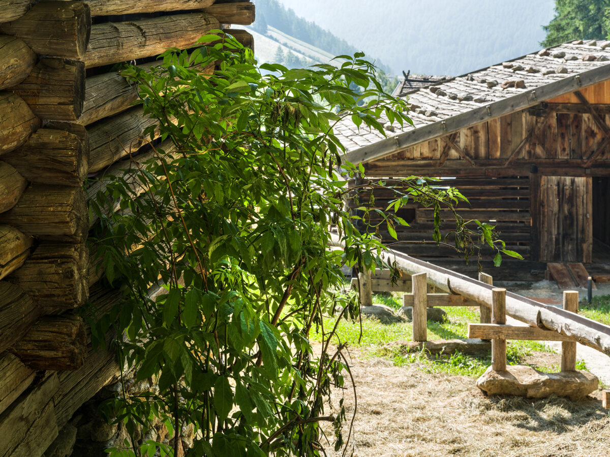 Zulauf des Wasserrads der Gorfer Mühle<br/>Canaletto della ruota idraulica del mulino<br/>Inlet of the whater wheel<br/><br/>Schnals-Gorfer Mühle
