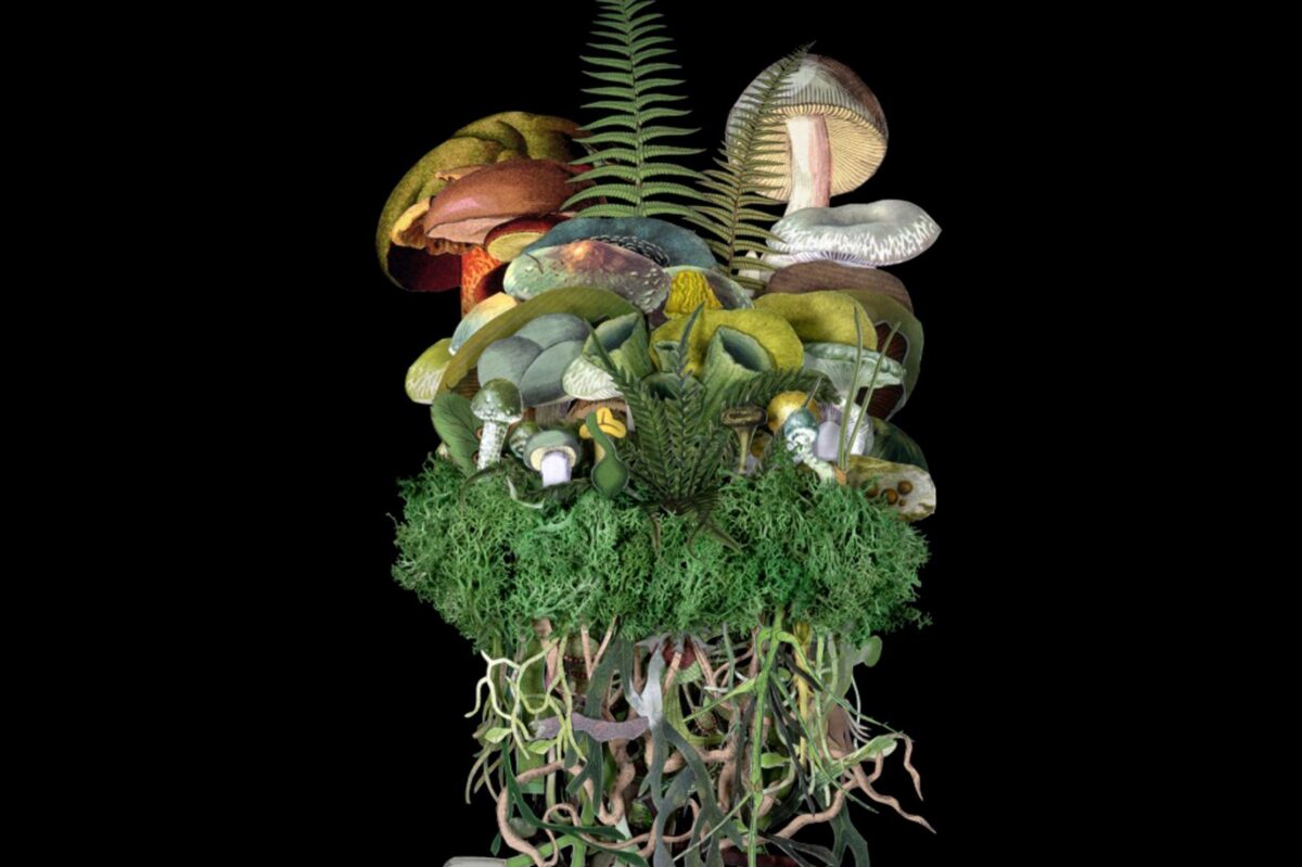 Vernissage „Pilze – die Kulturgeschichte der Pilze von Ötzi bis heute“