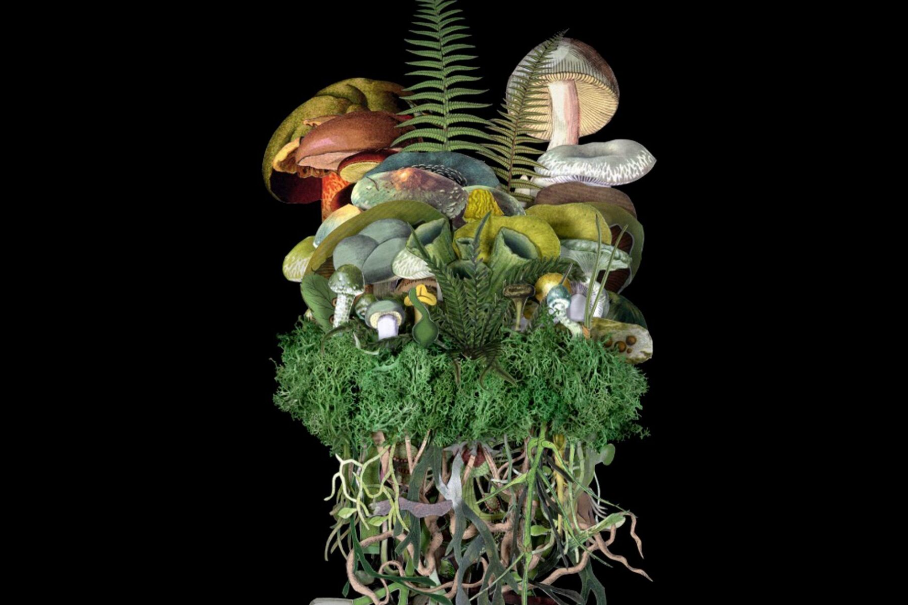 „Botanicals: Spring Troupe“ by mixed media artist Jana Nicole