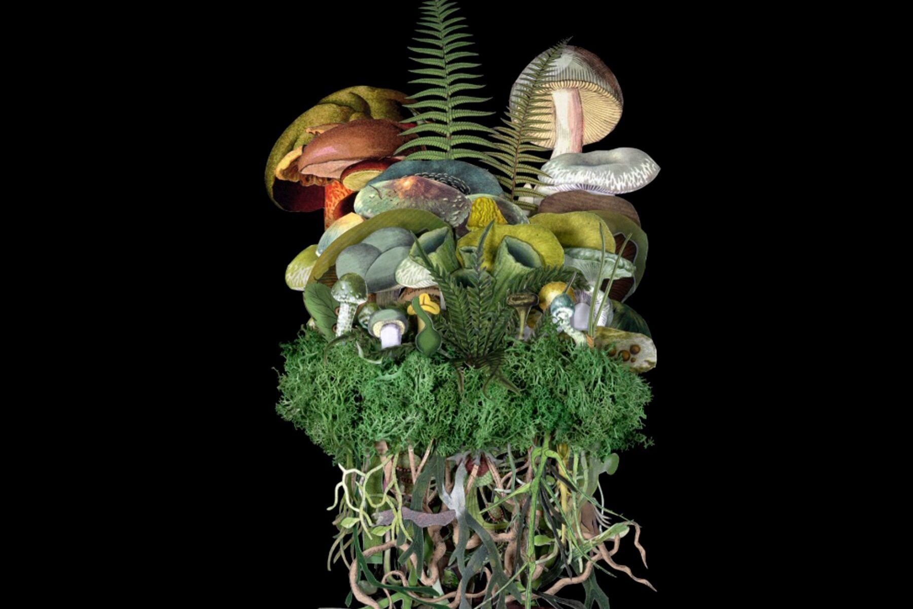 „Botanicals: Spring Troupe“ by mixed media artist Jana Nicole