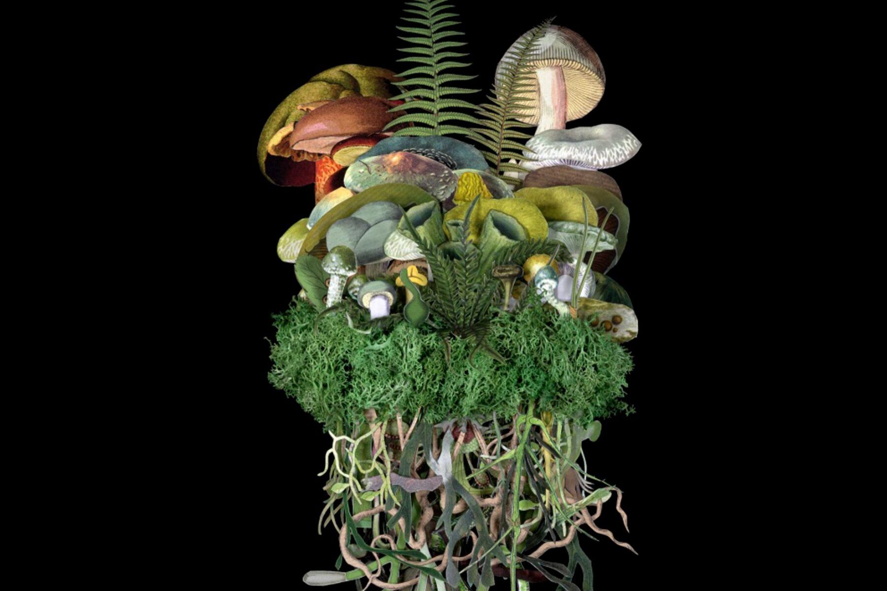 „Botanicals: Spring Troupe“ by mixed media artist Jana Nicole