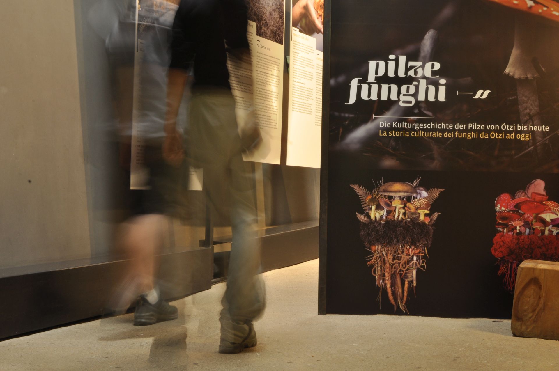 Ausstellung Die Pilze. Die Kulturgeschichte von Ötzi bis heuteMostra Fughi. La storia culturale dei funghi da Ötzi ad oggiTemporary exhibition on the cultural history of fungi2026