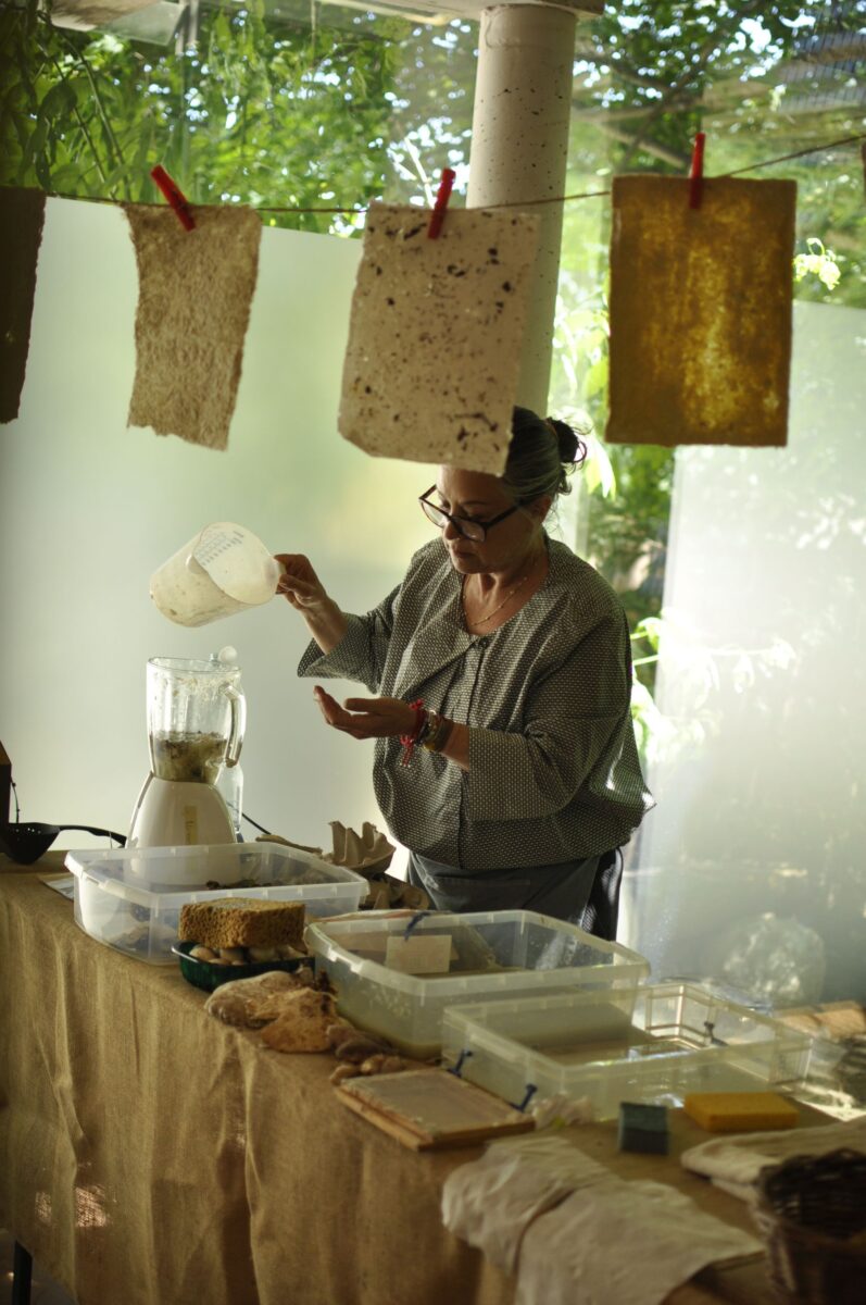 Drop-In-Workshop "Mushroom Paper" with artist Jana Nicole; July 2026