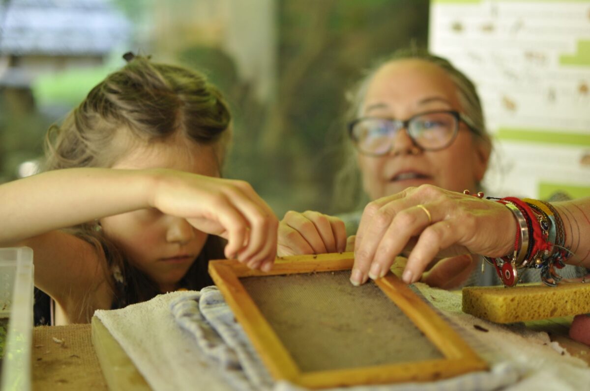 Drop-In-Workshop "Mushroom Paper" with artist Jana Nicole; July 2026